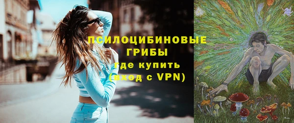 твердый Арсеньев