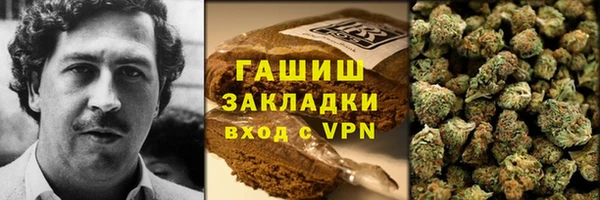сатива Армянск
